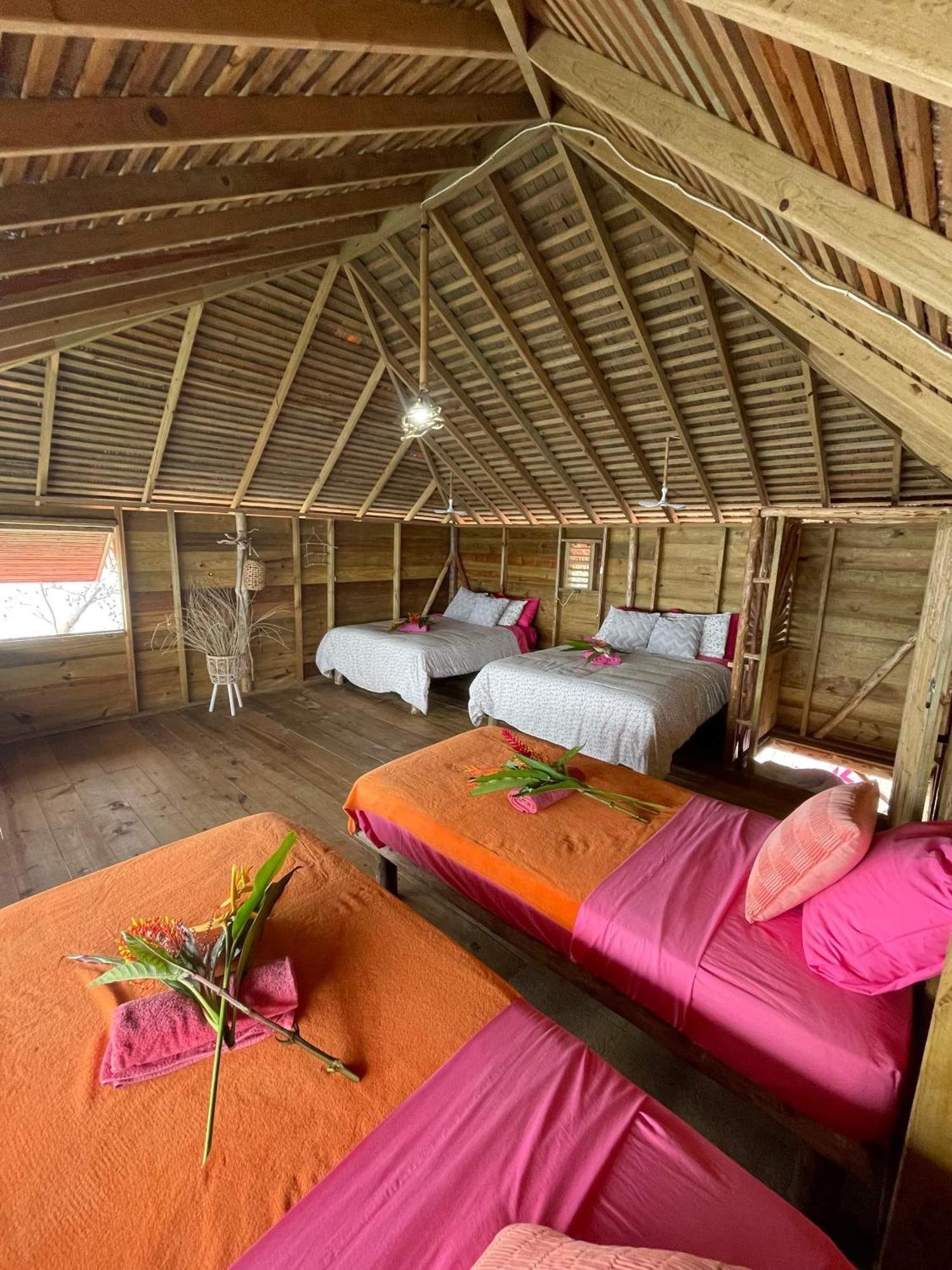 Urraca Monkey Island Eco Resort (Adults Only) Punta Laurel Exterior photo