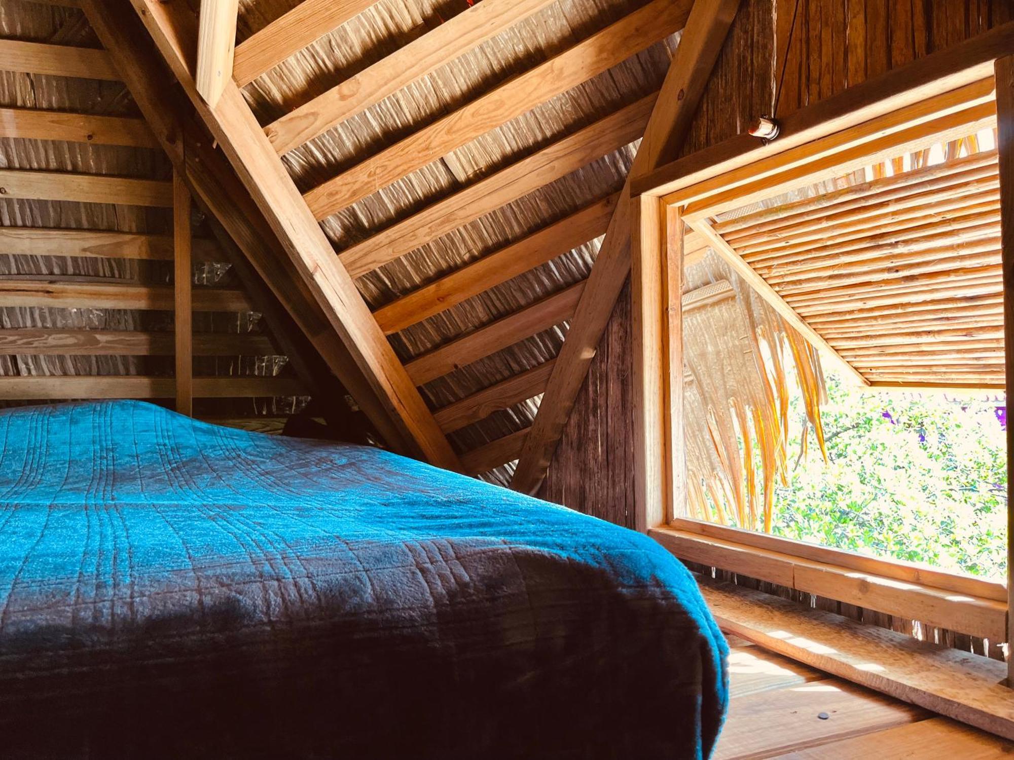 Urraca Monkey Island Eco Resort (Adults Only) Punta Laurel Room photo